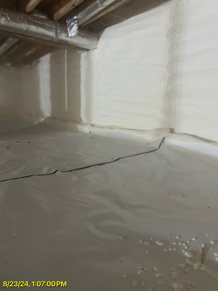 Crawl space insulation Crawl space insulation