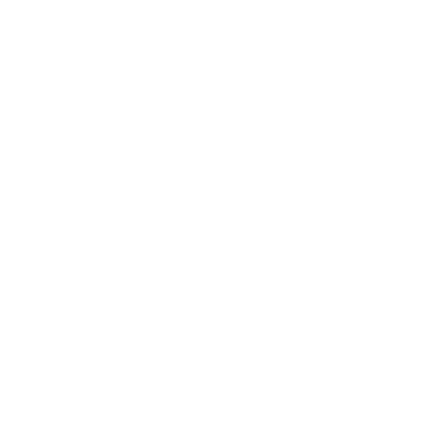 Insulation Icon