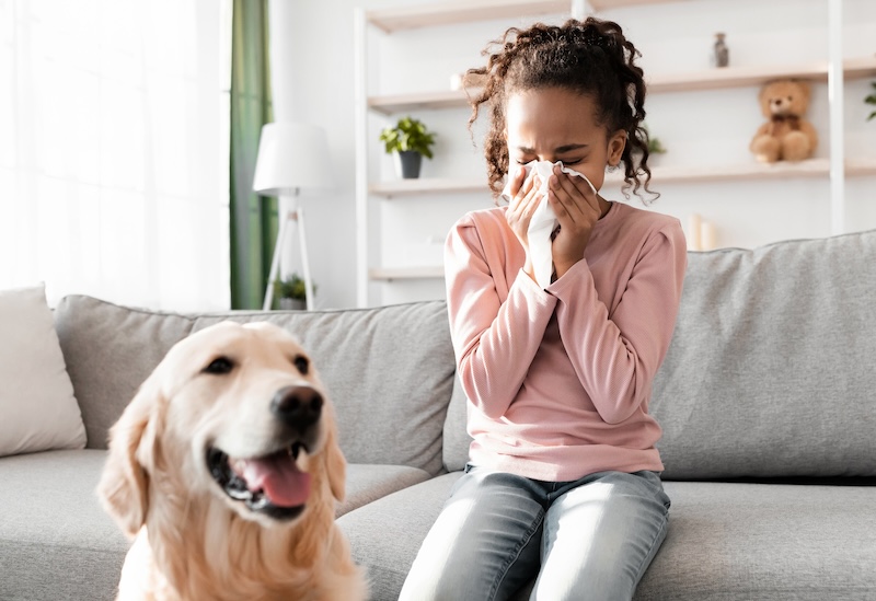 Indoor Air Quality for Allergy Sufferers: Creating a Sanctuary in Your Home Indoor Air Quality for Allergy Sufferers: Creating a Sanctuary in Your Home